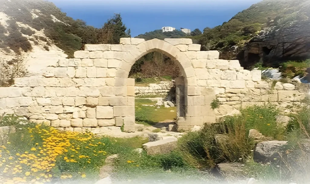 montecarmelo (1)